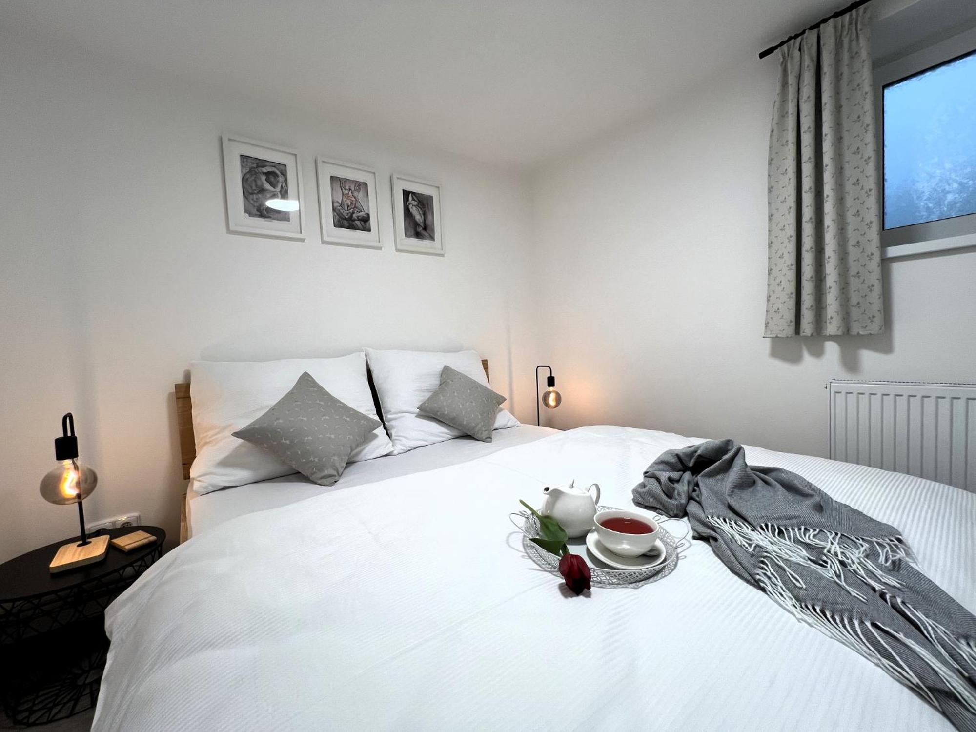 Apartment Hamerka Hlinsko
